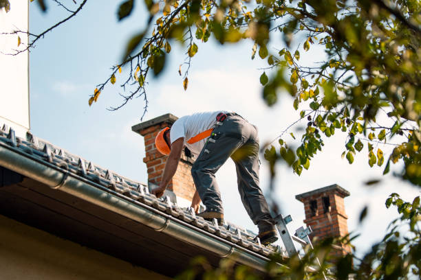 Best Flat Roof Repair Services  in Winfield, WV