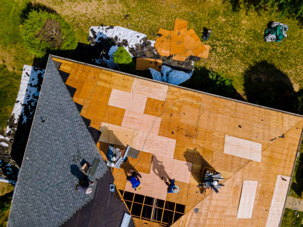 Roof Gutter Cleaning in Winfield, WV