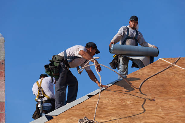 Best Gutter Installation and Roofing  in Winfield, WV