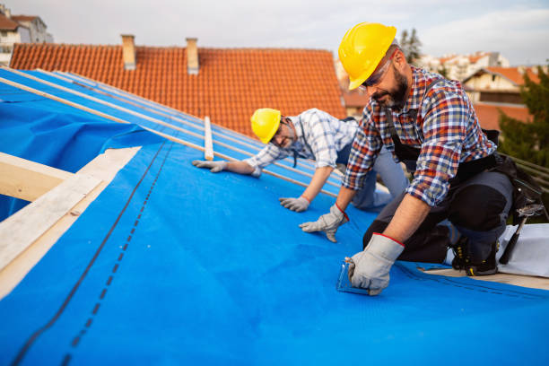 Best Roof Replacement Cost  in Winfield, WV