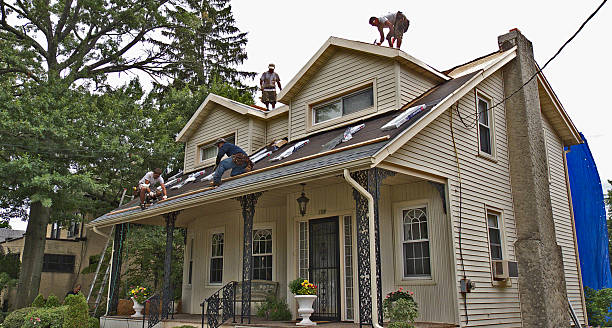 Best Metal Roofing Contractor  in Winfield, WV