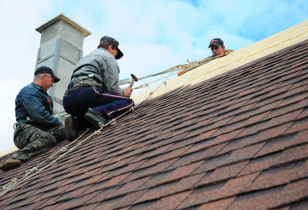 Best Residential Roofing Contractor  in Winfield, WV