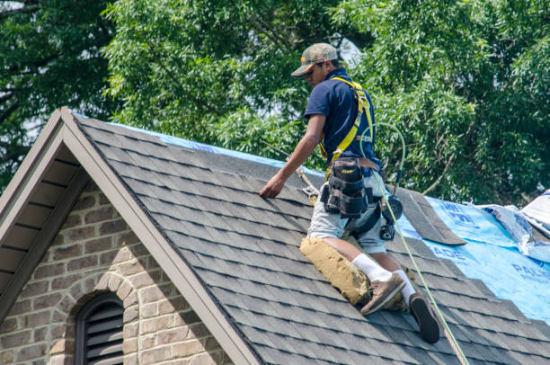 Best Best Roofing Contractors  in Winfield, WV